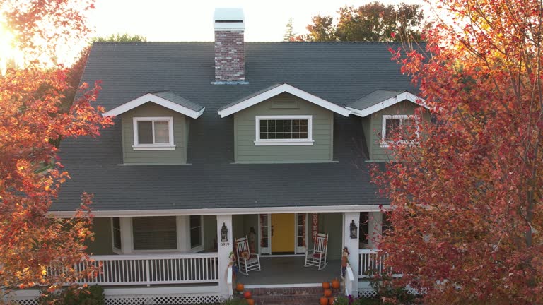 Best Roof Moss and Algae Removal  in Heidelberg, TX